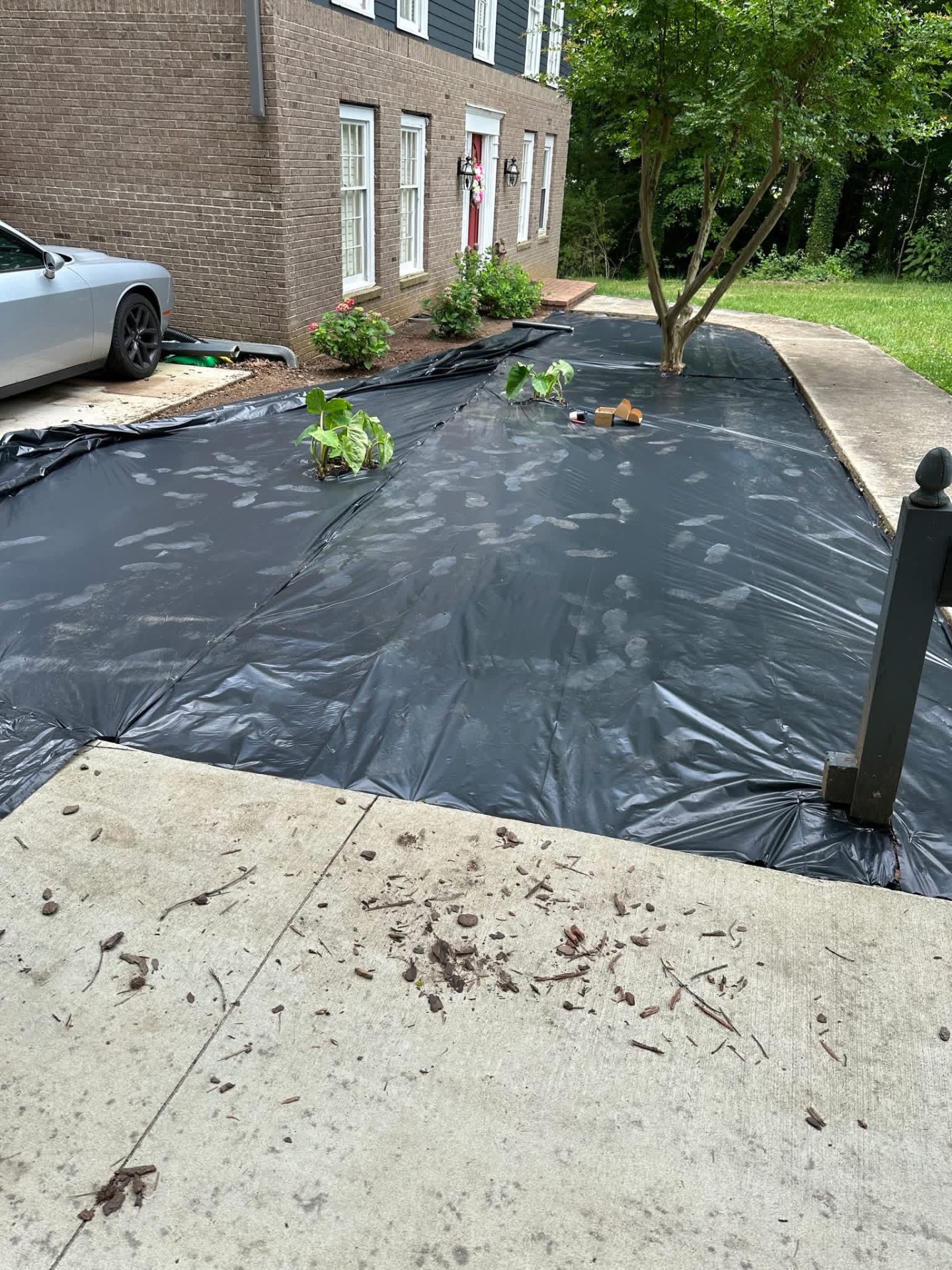 Starting with the groundwork